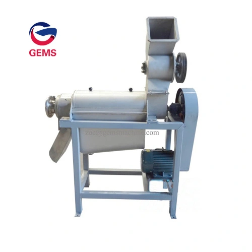 Industry Carrot Juice Making Juicer Onion Juice Extractor China